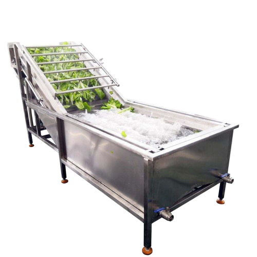 Lavadora de verduras